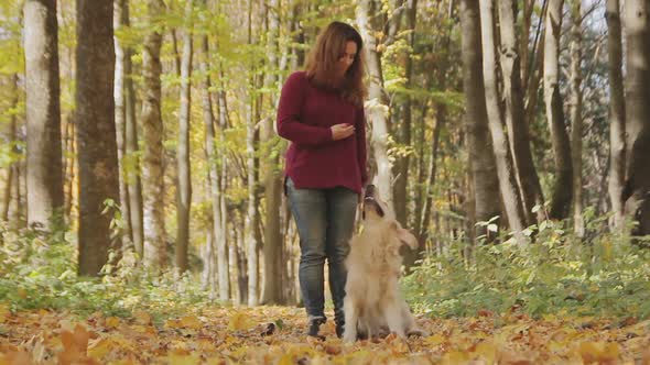 Girl Playing with a Dog