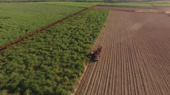 Sugar cane hasvest plantation aerial alt