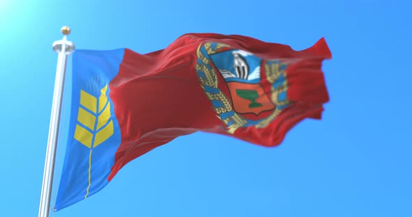 Flag of the Russian Federal Subject of Altai Krai, Russia alt