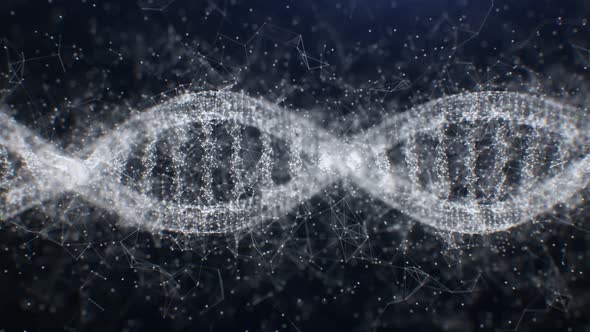 4K Looped Plexus DNA alt