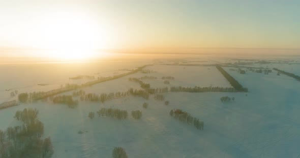 Aerial Drone View of Cold Winter Landscape with Arctic Field Trees Covered with Frost Snow and alt