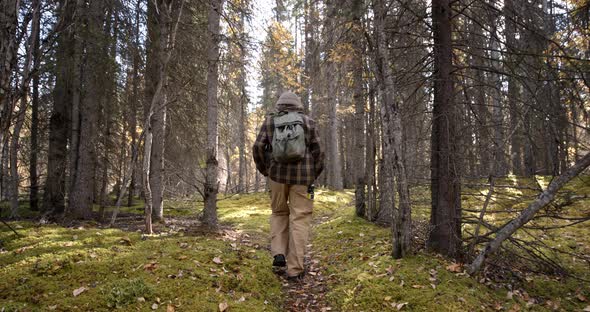 Back of Male With Backpack Walking on Path in Humid Alaskan Forest on Summer Day , Slow Motion alt