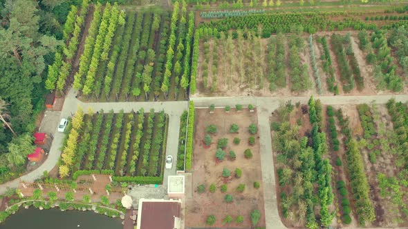 Tree Nursery for Landscape Design alt