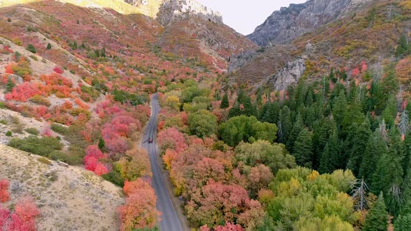 Car driving on scenic drive through canyon during the Fall alt