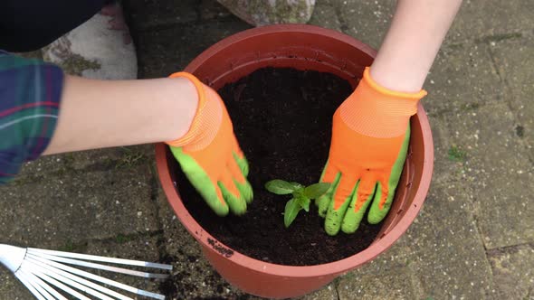 Happy Preschool Little Girl Kid Daughter Wear Works Gloves Humic Boots Planting Flowers in Pot in