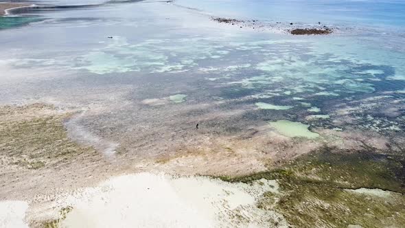 Static aerial drone of solo fishermen foraging for seafood at low tide ...