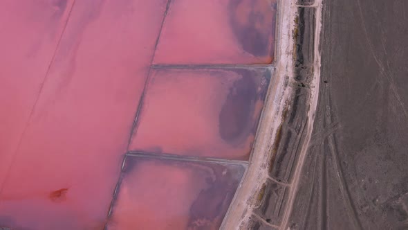 Aerial view of the salty pink lake. Lemuriyske Lake,  Ukraine