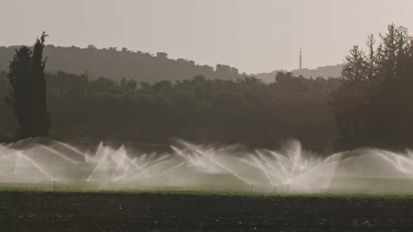 Slow motion of many impact sprinklers irrigating a field during sunset alt