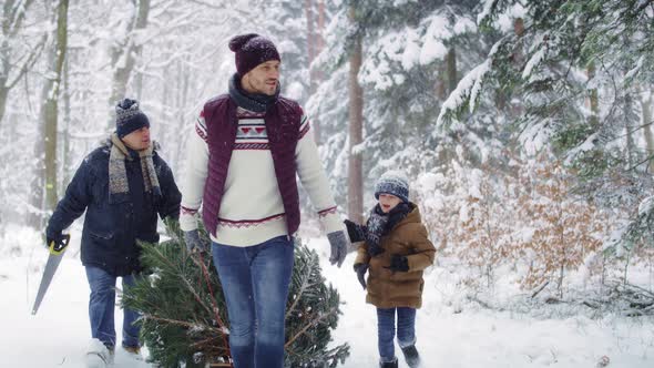 Three generation of family found the perfect Christmas tree alt