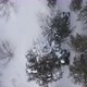 Snowy Forest Following Atv Vehicles - VideoHive Item for Sale