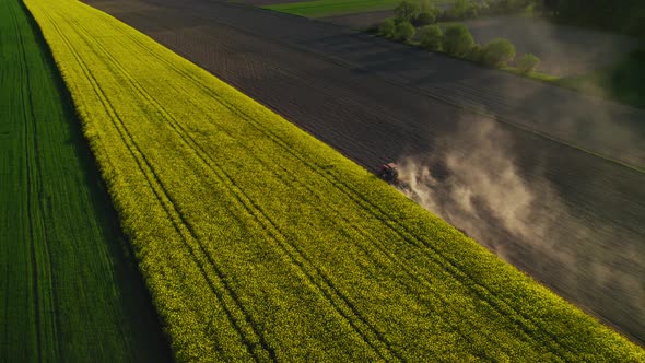 Tractor In The Field