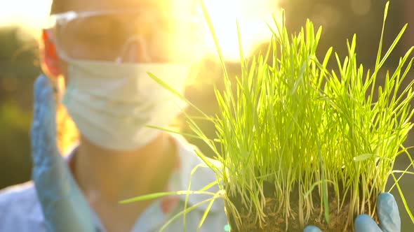 Woman Agronomist in Goggles and a Mask Examines a Sample of Soil and Plants alt