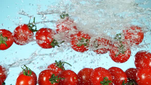 Super Slow Motion Shot of Flying Fresh Tomatoes and Water Side Splash on Blue Background at 1000Fps alt