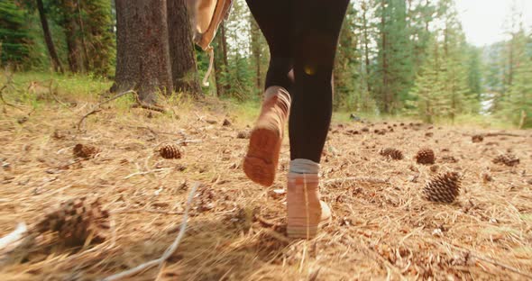 Camera Following Woman Running By Fall Coniferous Forest on Sunny Warm Day,  alt