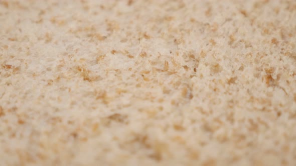 Shallow DOF toast bread whole grain baked surface close-up slow tilt 4K 2160p 30fps UltraHD footage  alt