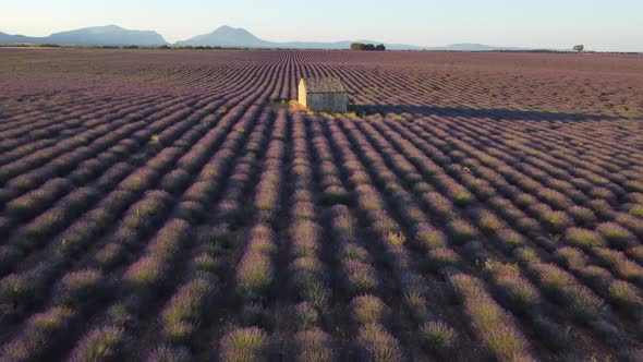 Plateau de Valensole alt