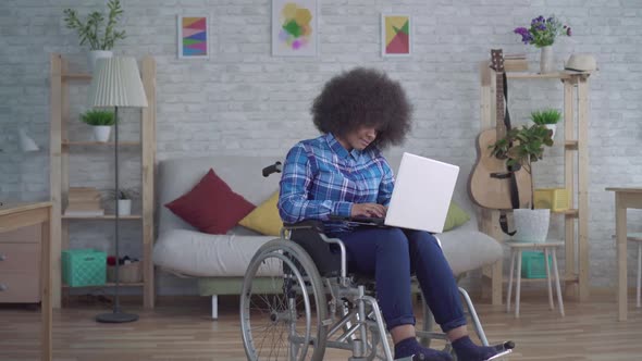 Disabled African American Woman with an Afro Hairstyle in a Wheelchair Uses a Laptop alt