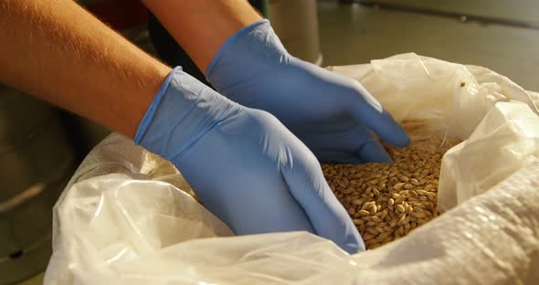 Brewer holding grains alt