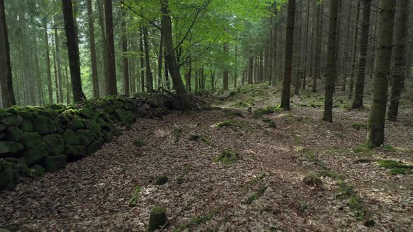 Old Moss Covered Stone Wall in Forest 