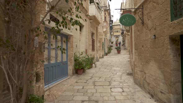 Narrow Alley Stone Street with Big Beautiful Plant and Traffic Signs in Birgu