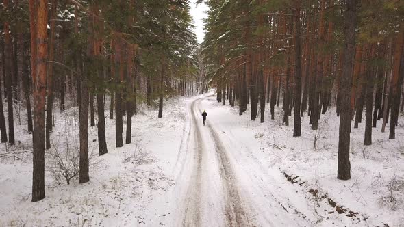 Jogging In The Winter Forest