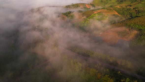 4K Aerial view of the misty sunrise in the forest. Tropical Rainforest in Thailand alt