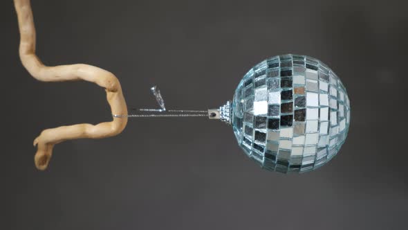 Shiny Christmas Mirror Disco Ball on Branch alt