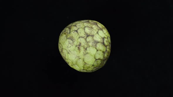 Rotating Exotic Fruit Cherimoya On A Black Background 1.