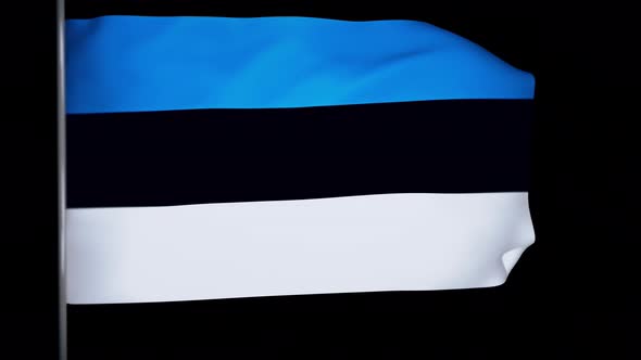 Estonia Flag Animation 4k