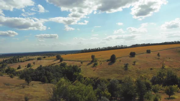 Aerial View of Green Fields and Hills on the Countryside, Green Valley, Village Skyline alt