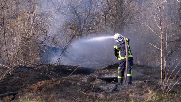 Firefighter in Equipment Extinguish Forest Fire with Fire Hose. Wood, Spring Day alt