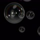 Loopable Soap Bubbles Black - VideoHive Item for Sale