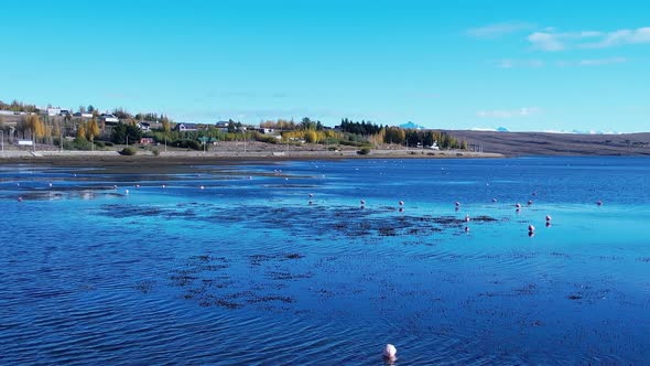 Patagonia landscape. Famous town of El Calafate at Patagonia Argentina alt