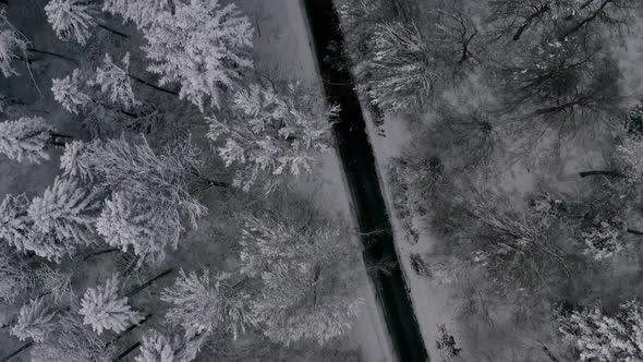 Street in a winter theme - following the road by flying forward over a snowy tree framed asphalt tra alt