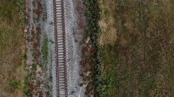 Flying Over a Railroad Track on an Embankment in a Field of Wild Flowers alt