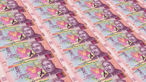 Bahamas Money / 20 Bahamian Dollar 4K alt