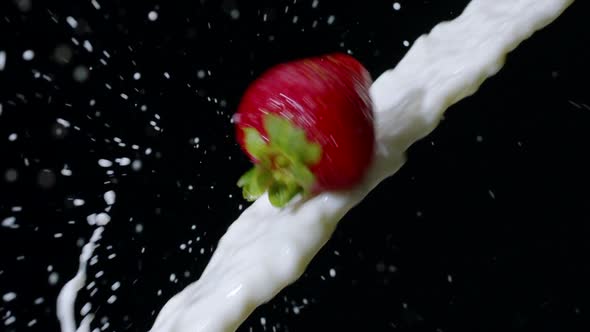 Strawberry Fruits Flying Into Stream of Milk with Beautiful Spatter Slow Mo