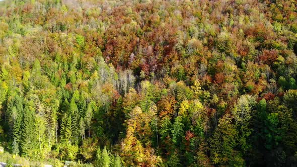 Drone Video of beautiful landscape with Mountauns and Forest in Austria in Autumn alt