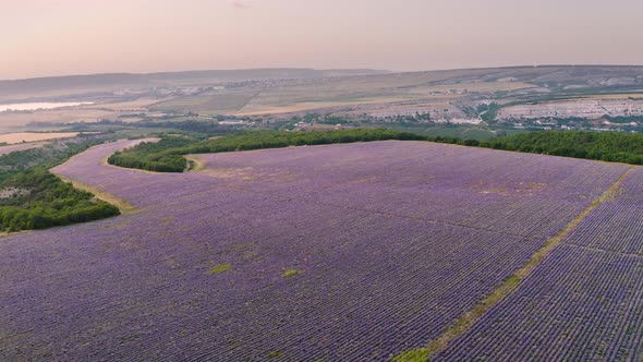 Aerial Nature Landscape Video