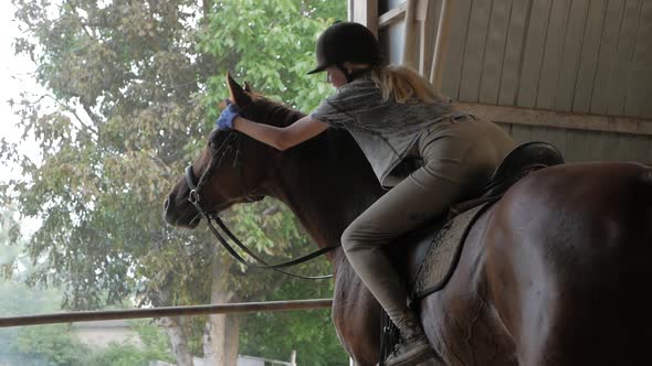 a girl is stroking a horse alt