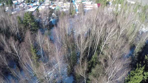 Aerial winter view of houses in village near the forest alt