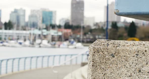 Man riding a bike on the promenade near the harbor 4k alt