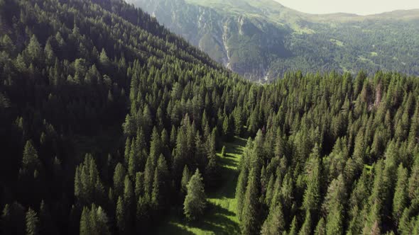 Cinematic drone aerial over a beautiful alpine scenery with woods and mountain peaks on a sunny summ alt