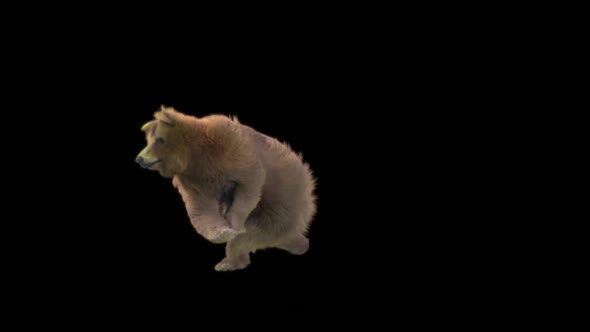 170 Bear Great Sword High Spin Attack HD alt