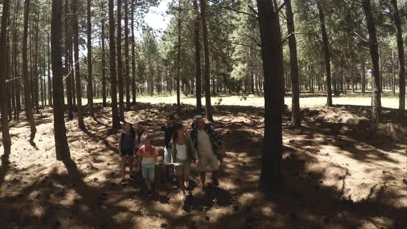 Family walking together in forest
