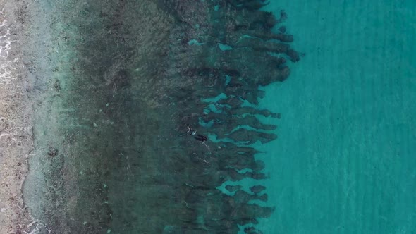 Underwater Fishing Aerial View alt
