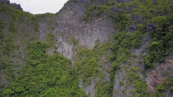 Aerial view of limestone cliffs with vegetation in El Nido, Palawan, the Philippines pedestal up alt