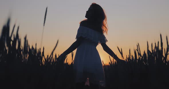 Beautiful Sunset in the Field. Woman Walks and Touches the Ears with Her Hands, Silhouette alt