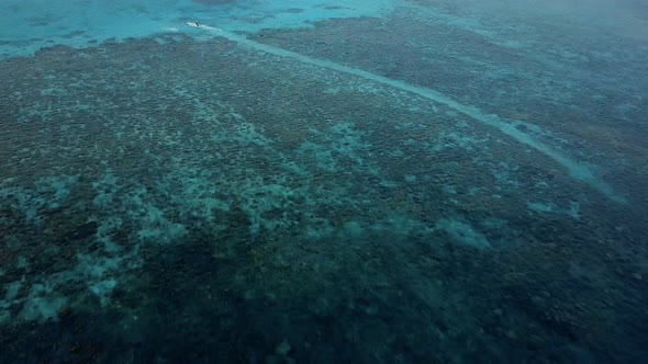 Coral Reef and Blue Cyan Waters of Maldives alt