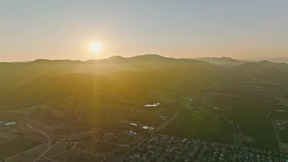 Beautiful Vineyard, Winery, Rows of Grapes, Agriculture, Aerial Drone View alt